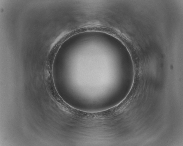 X0000073461400200608041041