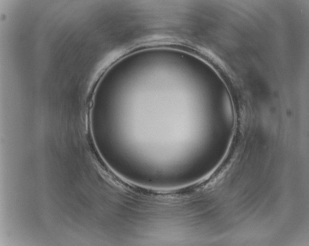 X0000073461413200608041041