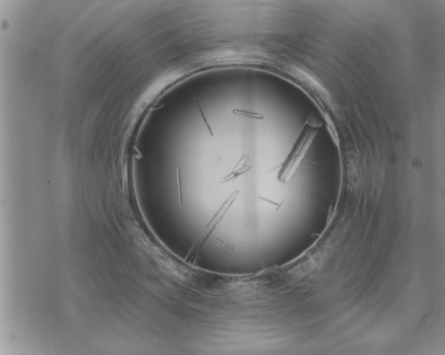 X0000073461419200608041041