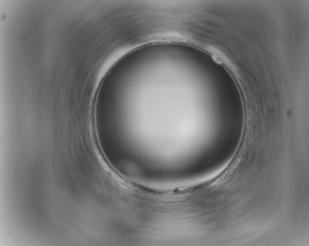 X0000073461440200608041042