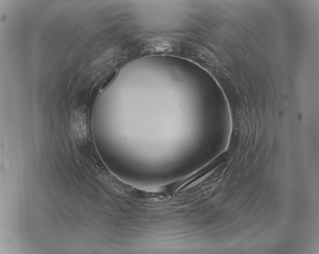 X0000073461442200608041041