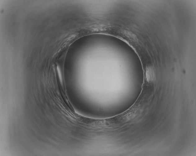 X0000073461444200608041041
