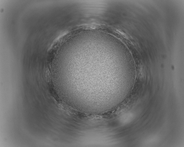 X0000073461446200608041041
