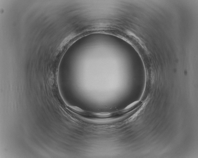 X0000073461449200608041041