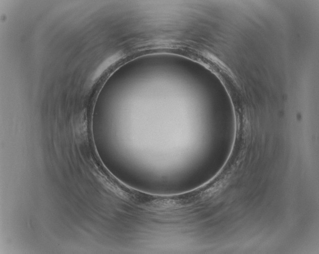 X0000073461450200608041041