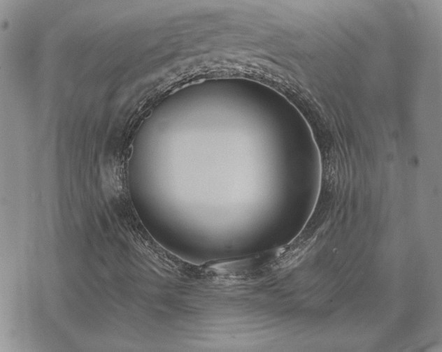 X0000073461490200608041039
