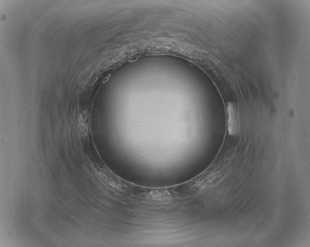 X0000073461491200608041039