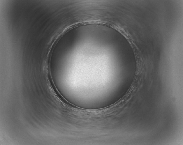 X0000073460002200608111522