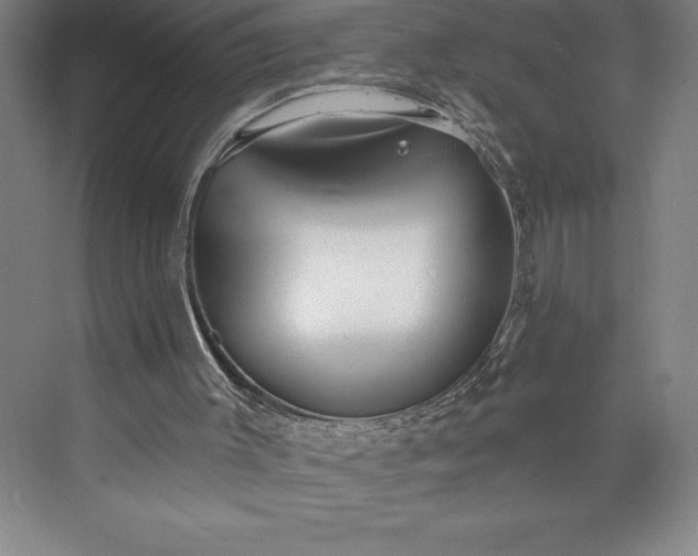 X0000073460003200608111522