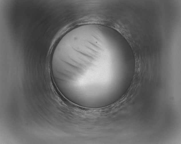 X0000073460004200608111522