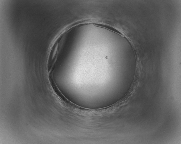 X0000073460007200608111522