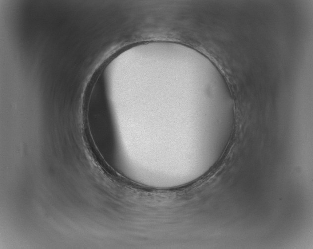 X0000073460008200608111522