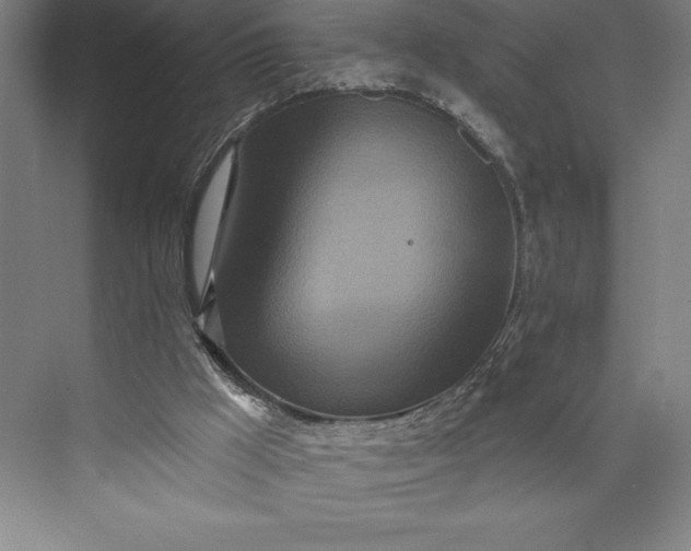 X0000073460009200608111522