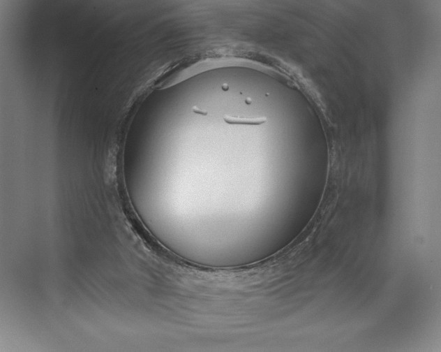 X0000073460010200608111522