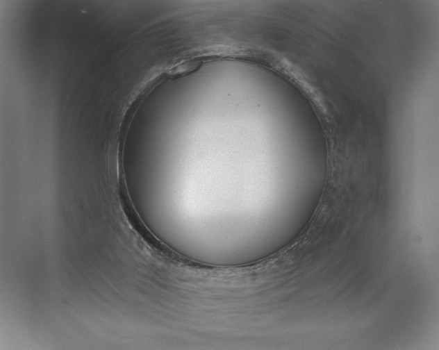 X0000073460011200608111522