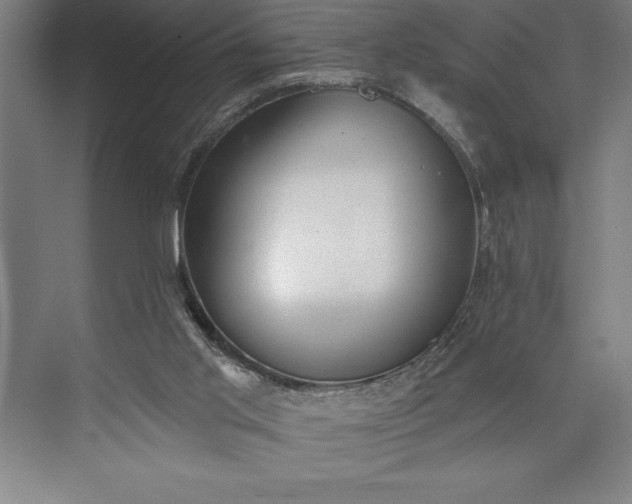 X0000073460013200608111522