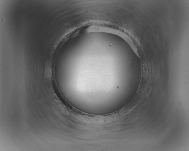 X0000073460015200608111522