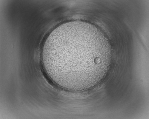 X0000073460016200608111522