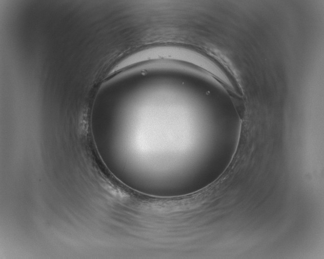 X0000073460017200608111522