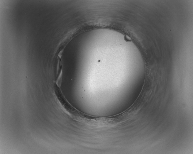 X0000073460020200608111522