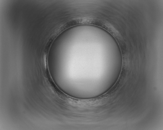 X0000073460022200608111522