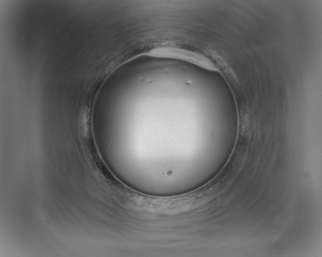 X0000073460026200608111522