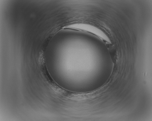 X0000073460029200608111522