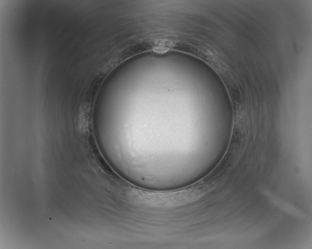 X0000073460030200608111521