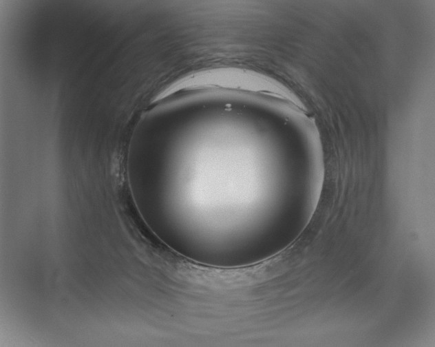 X0000073460031200608111521