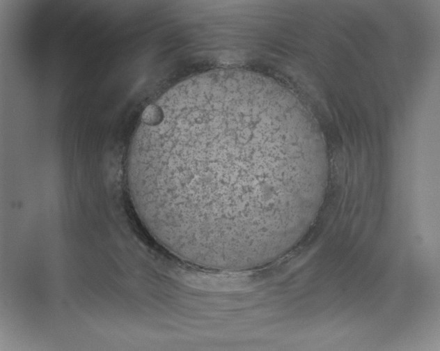 X0000073460032200608111521