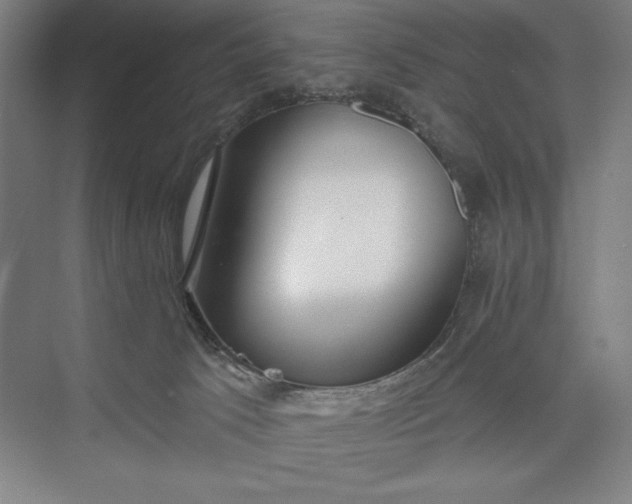 X0000073460033200608111521