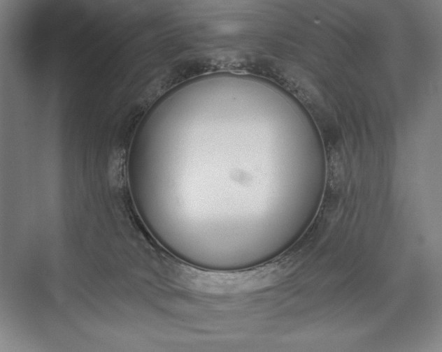 X0000073460034200608111521