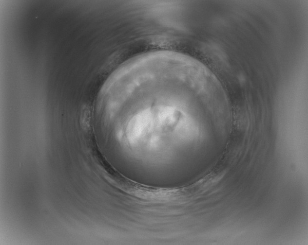 X0000073460036200608111521