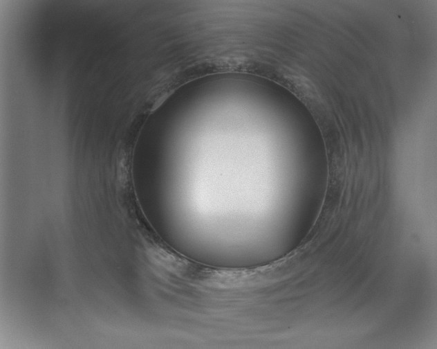 X0000073460037200608111521