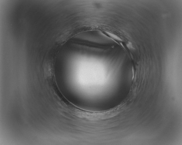 X0000073460039200608111521