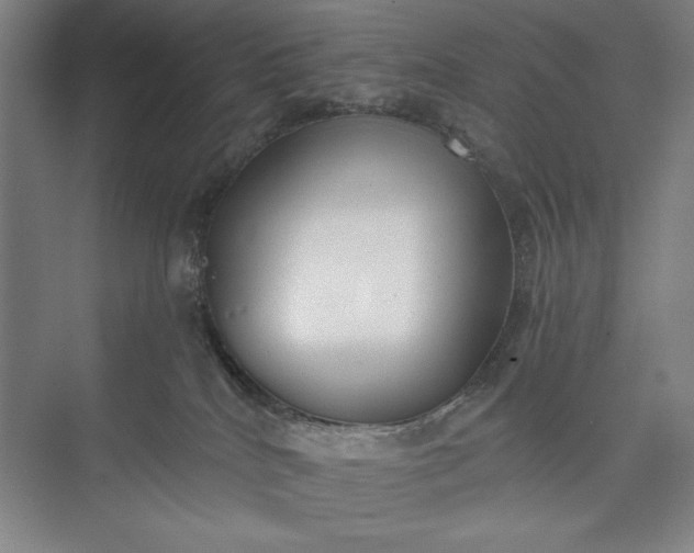 X0000073460040200608111521