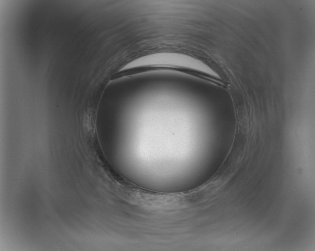 X0000073460044200608111521