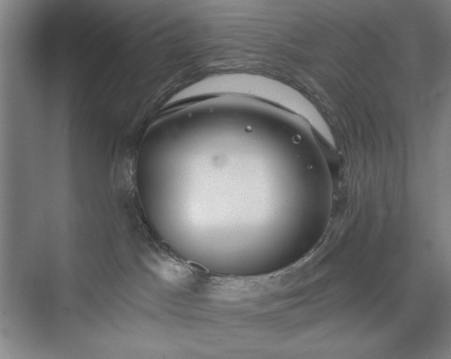 X0000073460045200608111521