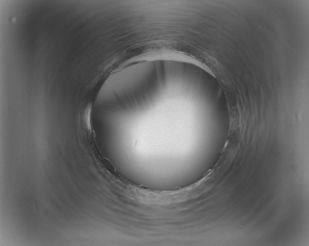 X0000073460047200608111521