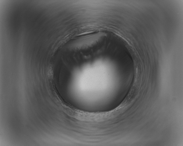 X0000073460048200608111521