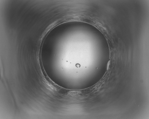 X0000073460051200608111520