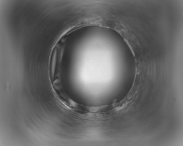 X0000073460052200608111520