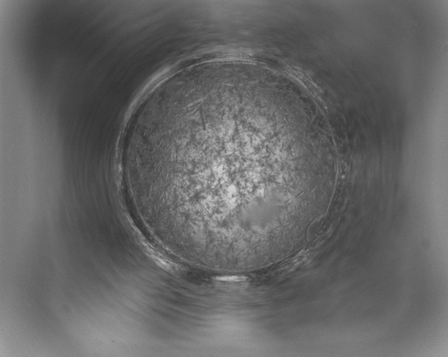 X0000073460053200608111520