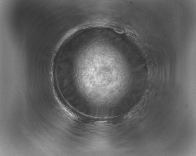 X0000073460054200608111520