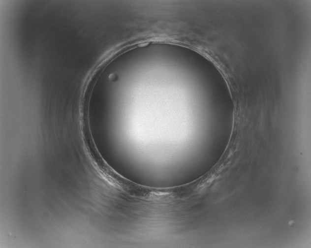 X0000073460055200608111520