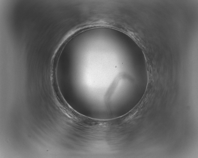 X0000073460056200608111520