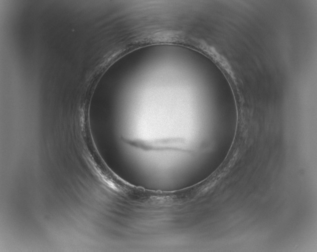 X0000073460057200608111521