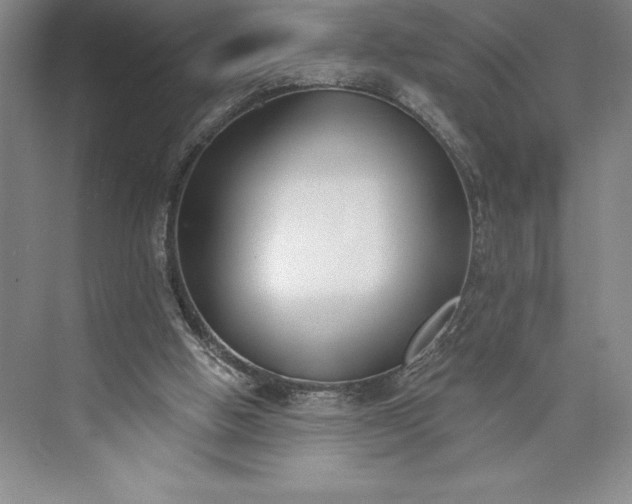 X0000073460058200608111521