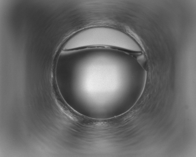 X0000073460059200608111521