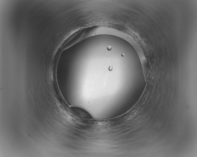 X0000073460060200608111521